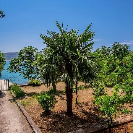Apartment New Spacious Direct On The